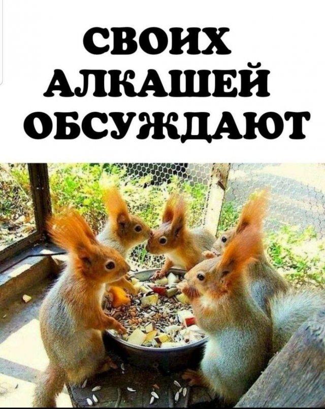 Подборка прикольных фото №3811