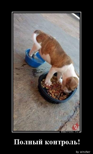 
			Демотиваторы №3761 (20 фото)