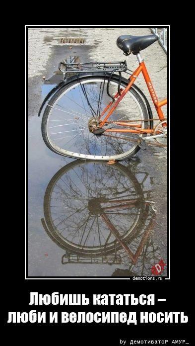 
			Демотиваторы №3750 (15 фото)