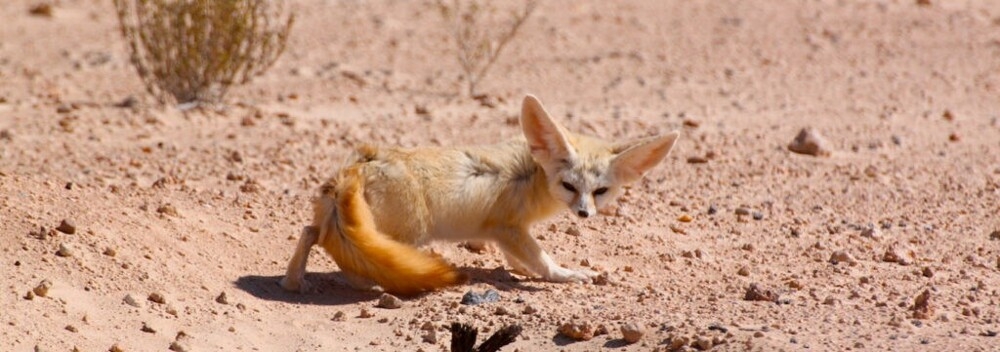 20 снимков, которые помогут ощутить простую магию нашего мира
20 снимков, которые помогут ощутить простую магию нашего мира