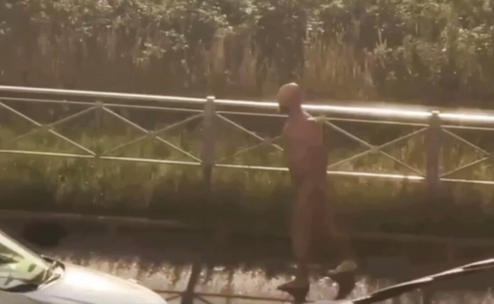 
        Голый поклонник Санкт-Петербурга    