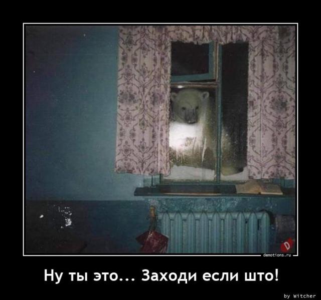 
			Демотиваторы №3757 (17 фото)