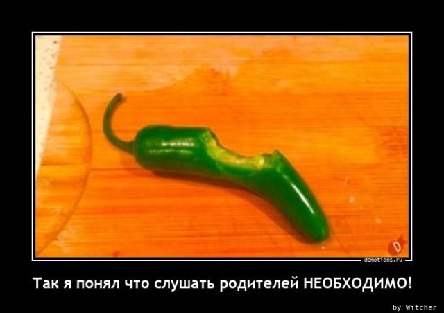 
			Демотиваторы №3760 (15 фото)