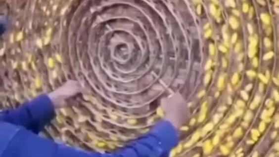 
        В&nbsp;Индии раскрыли тайну создания шелка, который ценят по&nbsp;всему миру    