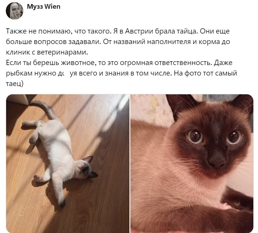 
        Подробная анкета в&nbsp;приютах для&nbsp;животных &ndash; необходимая защита или&nbsp;избыточная преграда?    