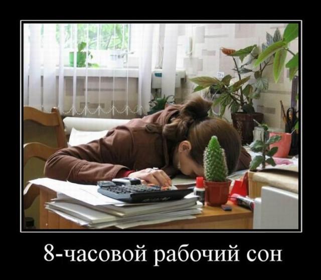 
			Демотиваторы №3743 (20 фото)