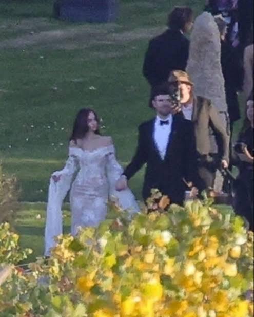 Дочь Антонио Бандероса и Мелани Гриффит вышла замуж