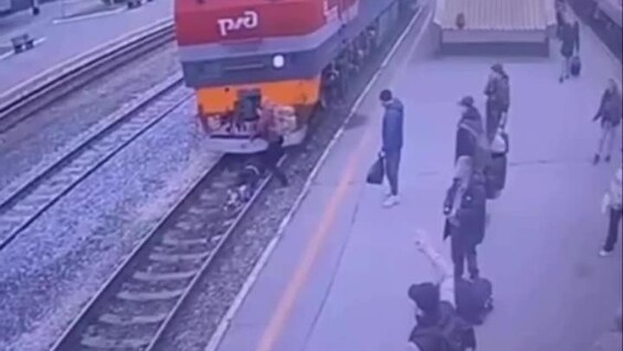 
        В Тюмени торопыга упал под локомотив и выжил    