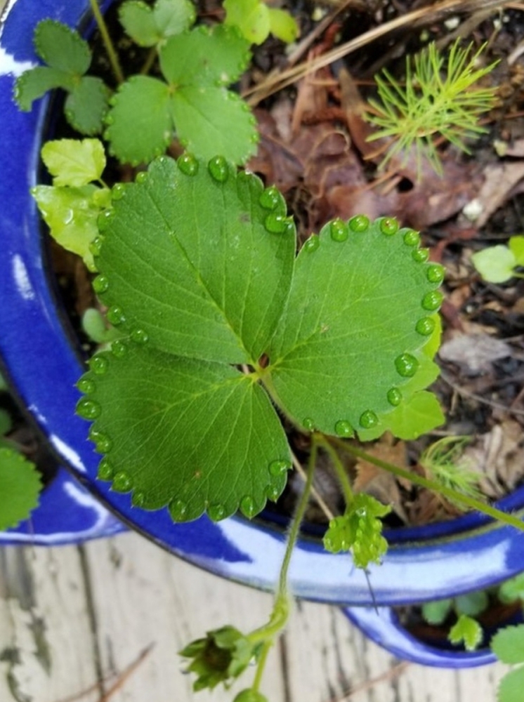 
        28&nbsp;не&nbsp;повторяющихся моментов: мир&nbsp;бывает восхитительным и&nbsp;без&nbsp;фотошопа    