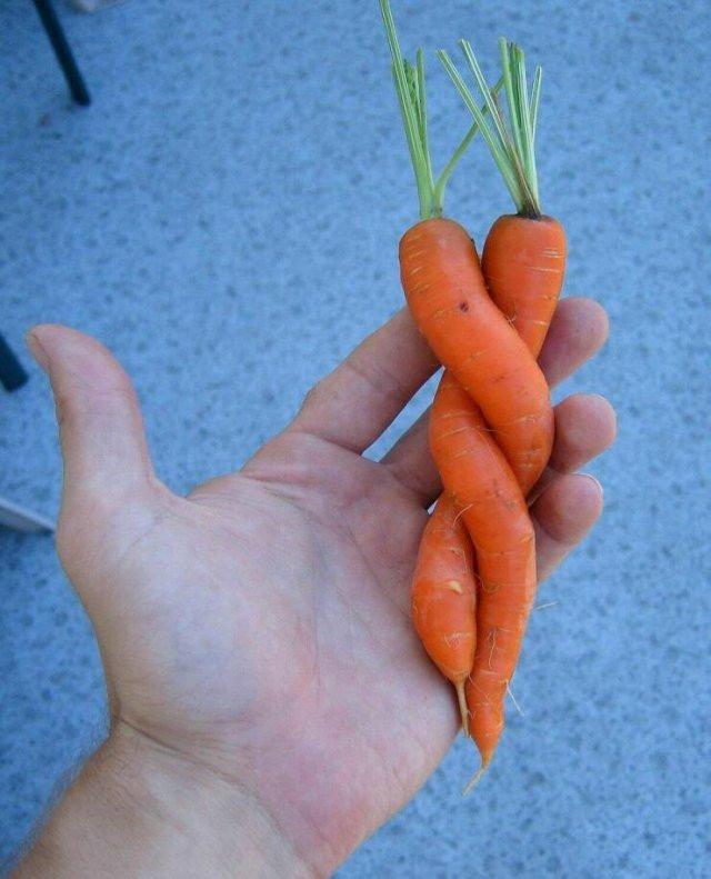 Подборка прикольных фото №3814