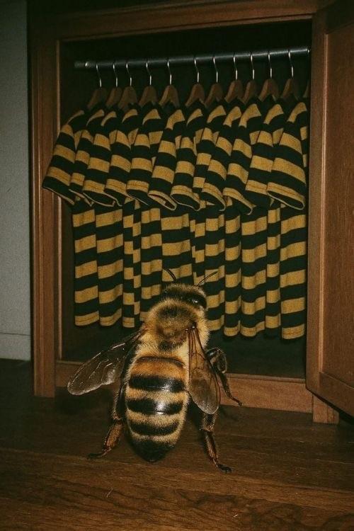 Подборка прикольных фото №3801