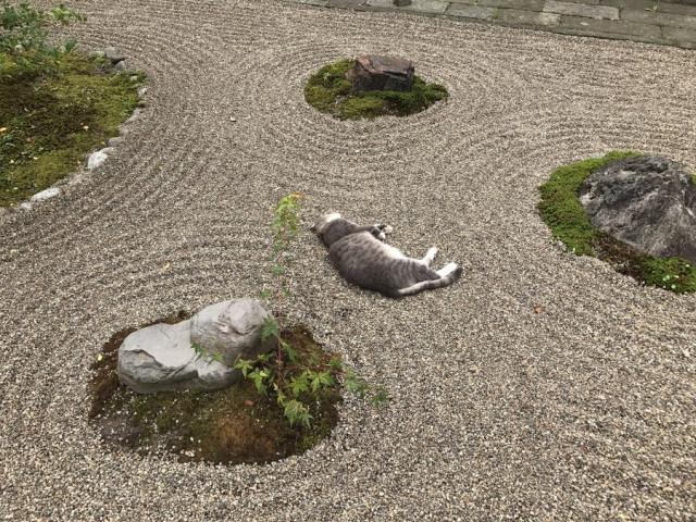 Подборка прикольных фото №3810