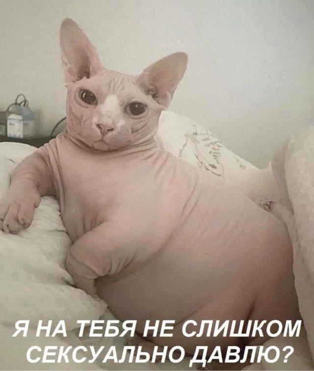 Подборка прикольных фото №3813