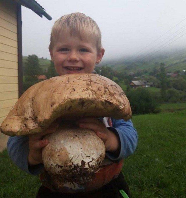 Подборка прикольных фото №3811