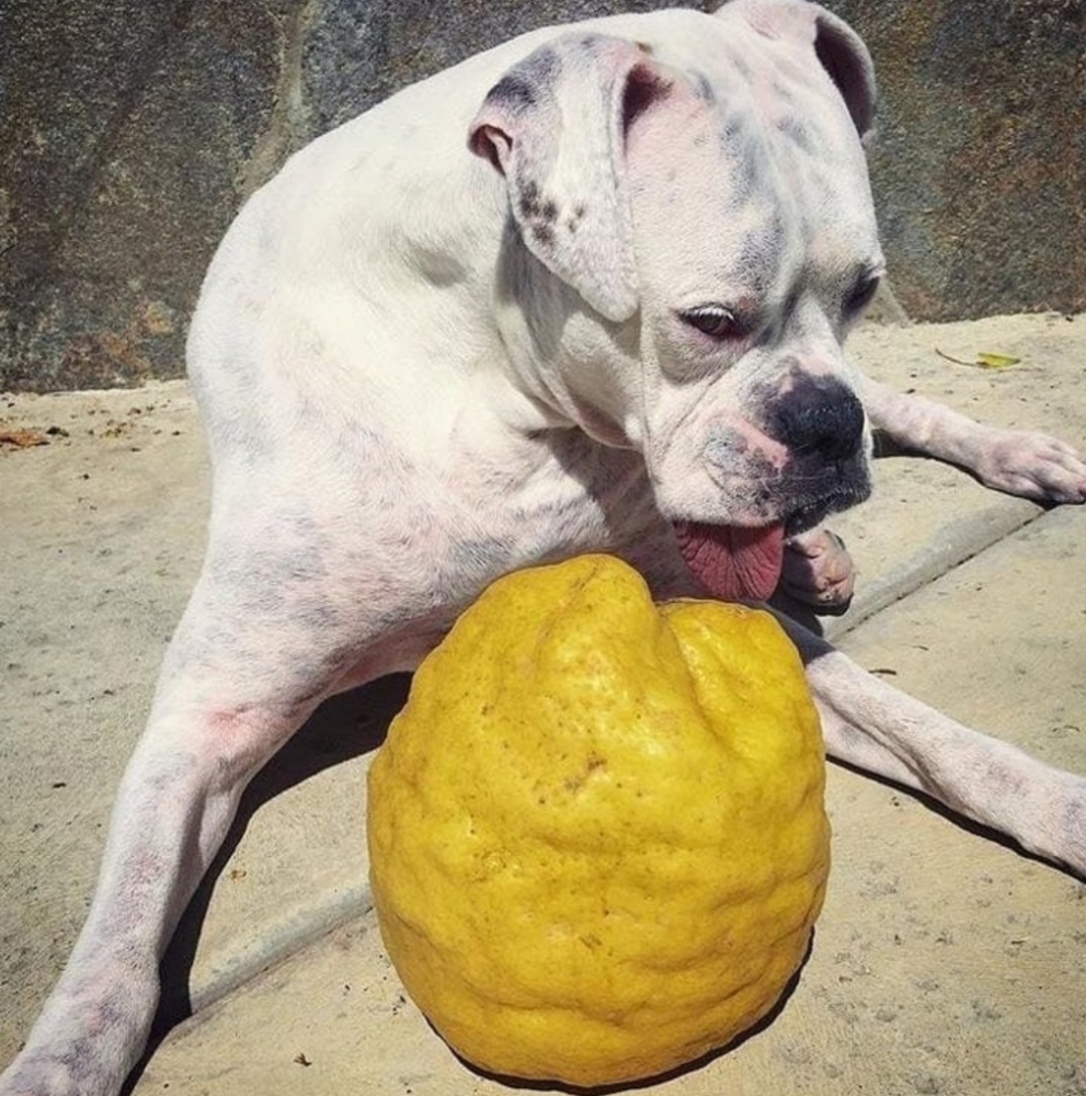 
        28&nbsp;не&nbsp;повторяющихся моментов: мир&nbsp;бывает восхитительным и&nbsp;без&nbsp;фотошопа    