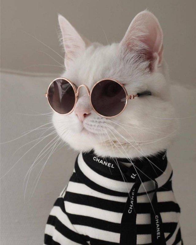 Подборка прикольных фото №3802