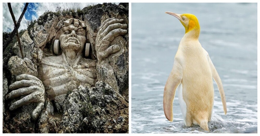 20 снимков, которые помогут ощутить простую магию нашего мира
20 снимков, которые помогут ощутить простую магию нашего мира