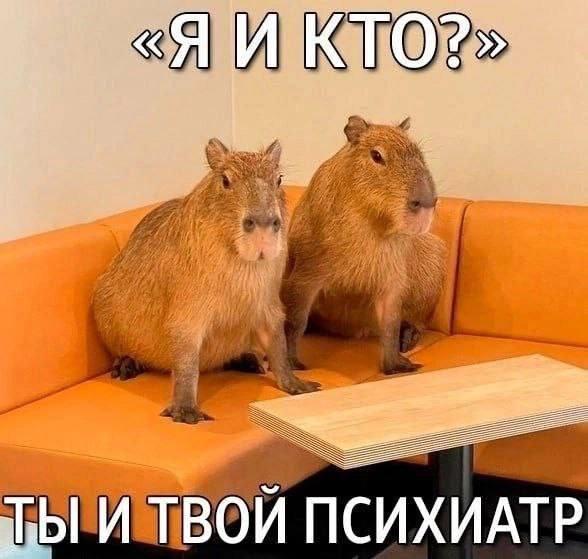 Подборка прикольных фото №3810