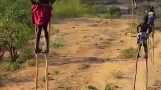 Племя Банна: в Эфиопии с детства ходят на ходулях
Племя Банна: в Эфиопии с детства ходят на ходулях