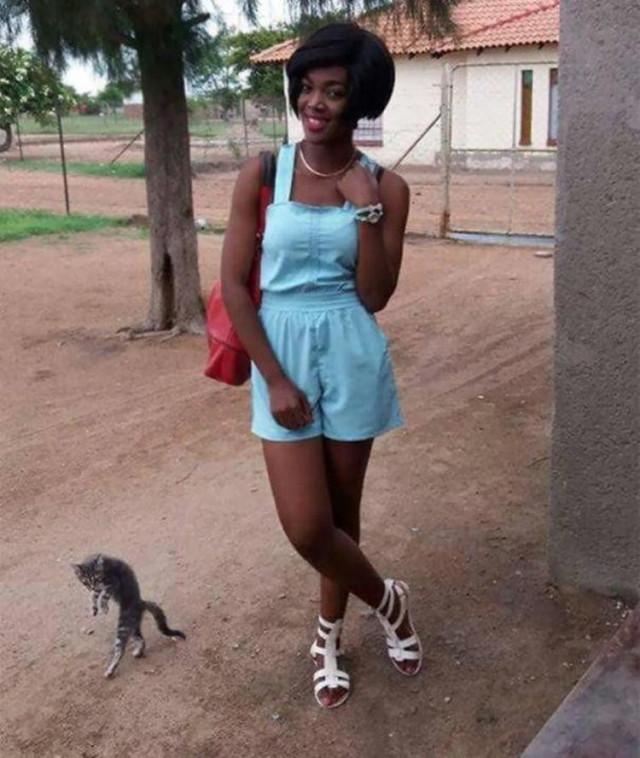 Смешные фотобомбы: пушистая версия Смешные фотобомбы: пушистая версия