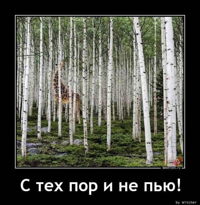 
			Демотиваторы №3751 (15 фото)