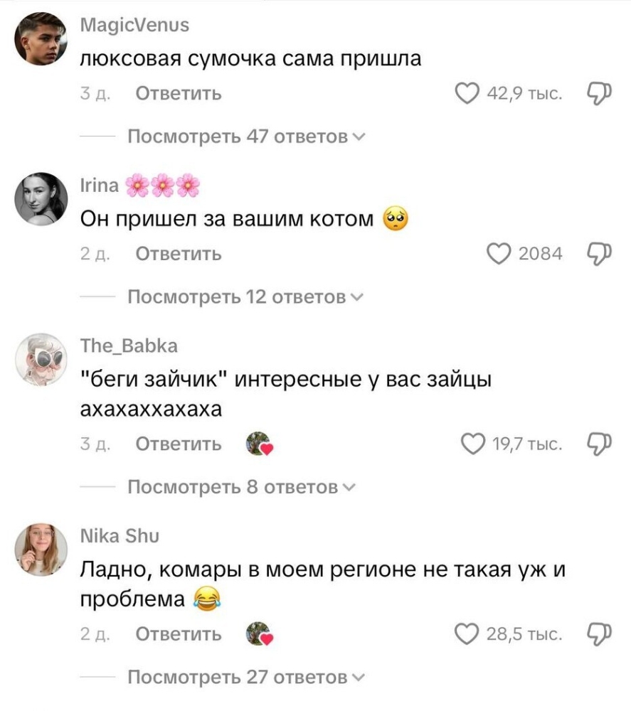 Аллигатор пришёл в гости, но хозяйка оказалась смелее
Аллигатор пришёл в гости, но хозяйка оказалась смелее