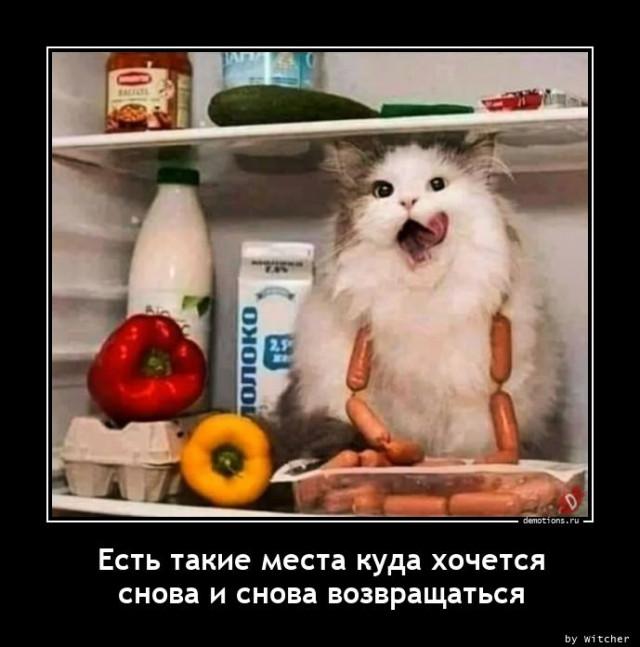 
			Демотиваторы №3744 (15 фото)