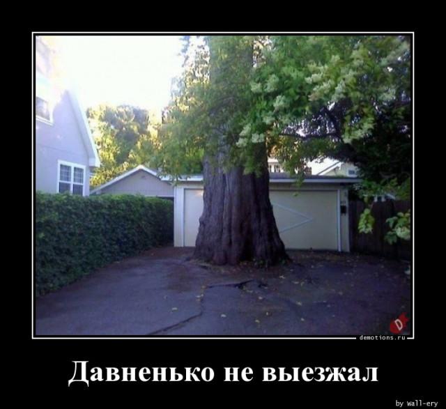 
			Демотиваторы №3756 (17 фото)