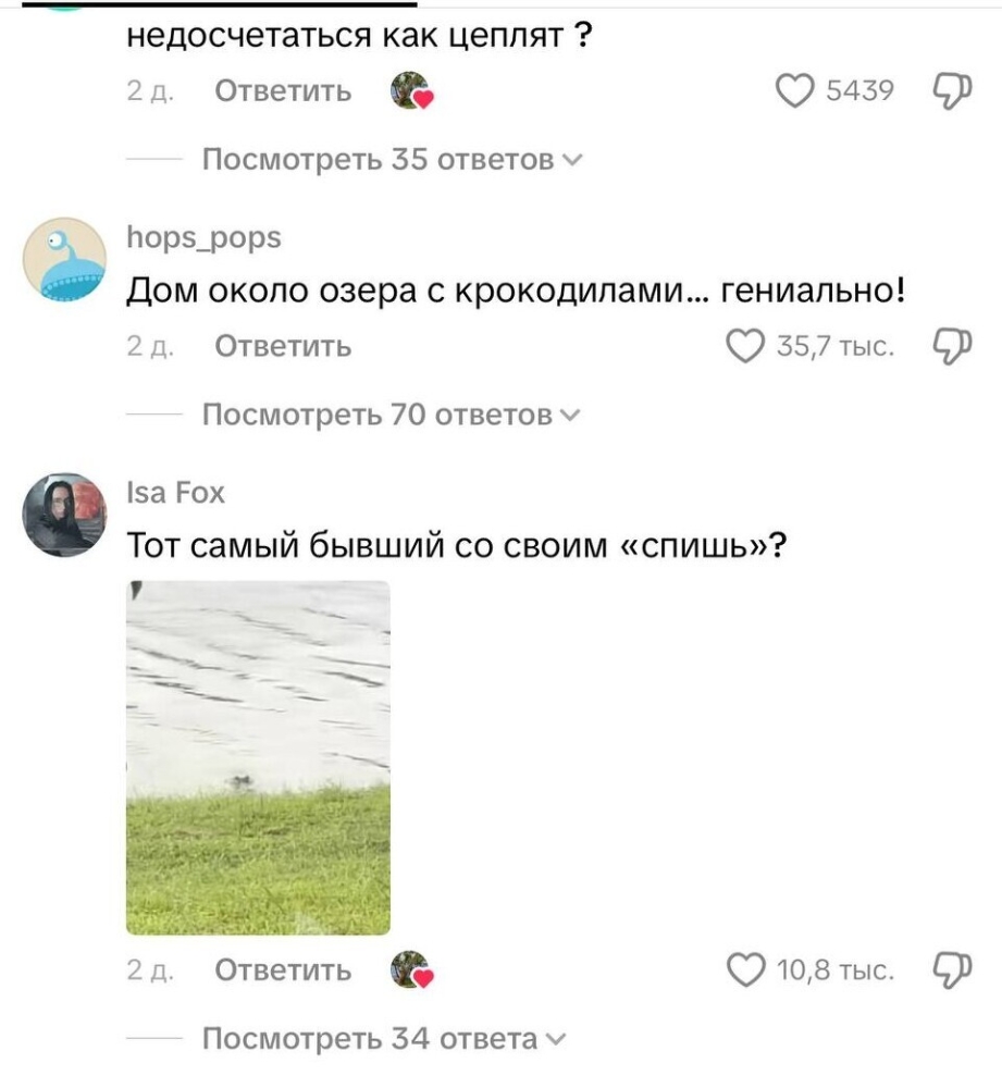 Аллигатор пришёл в гости, но хозяйка оказалась смелее
Аллигатор пришёл в гости, но хозяйка оказалась смелее