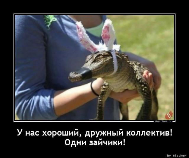 
			Демотиваторы №3753 (17 фото)