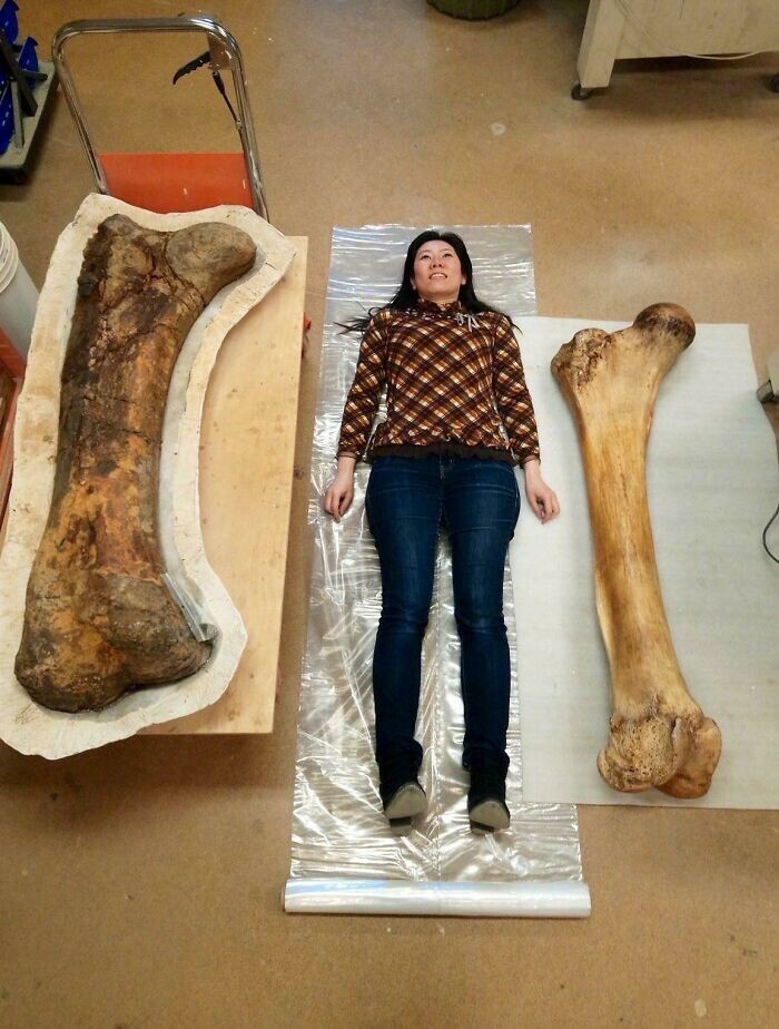 
        30 впечатляющих фотографий, показывающих реальный масштаб вещей    