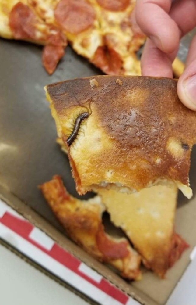 
        28&nbsp;не&nbsp;повторяющихся моментов: мир&nbsp;бывает восхитительным и&nbsp;без&nbsp;фотошопа    