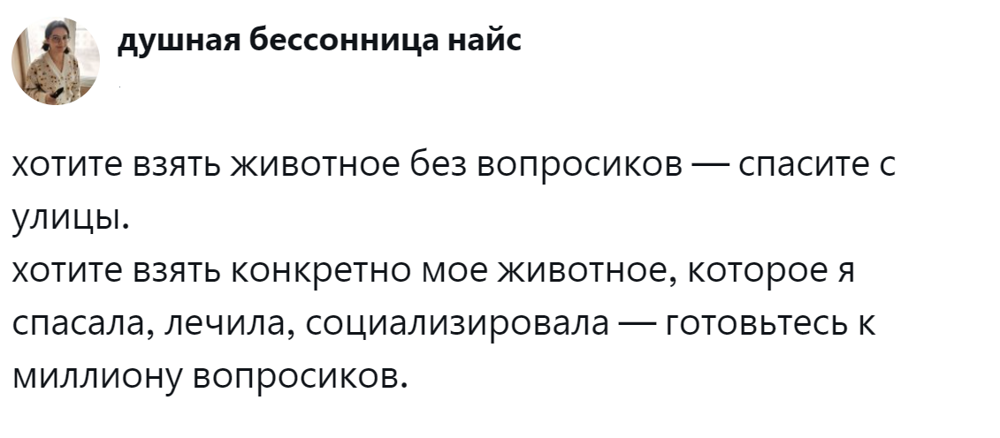 
        Подробная анкета в&nbsp;приютах для&nbsp;животных &ndash; необходимая защита или&nbsp;избыточная преграда?    