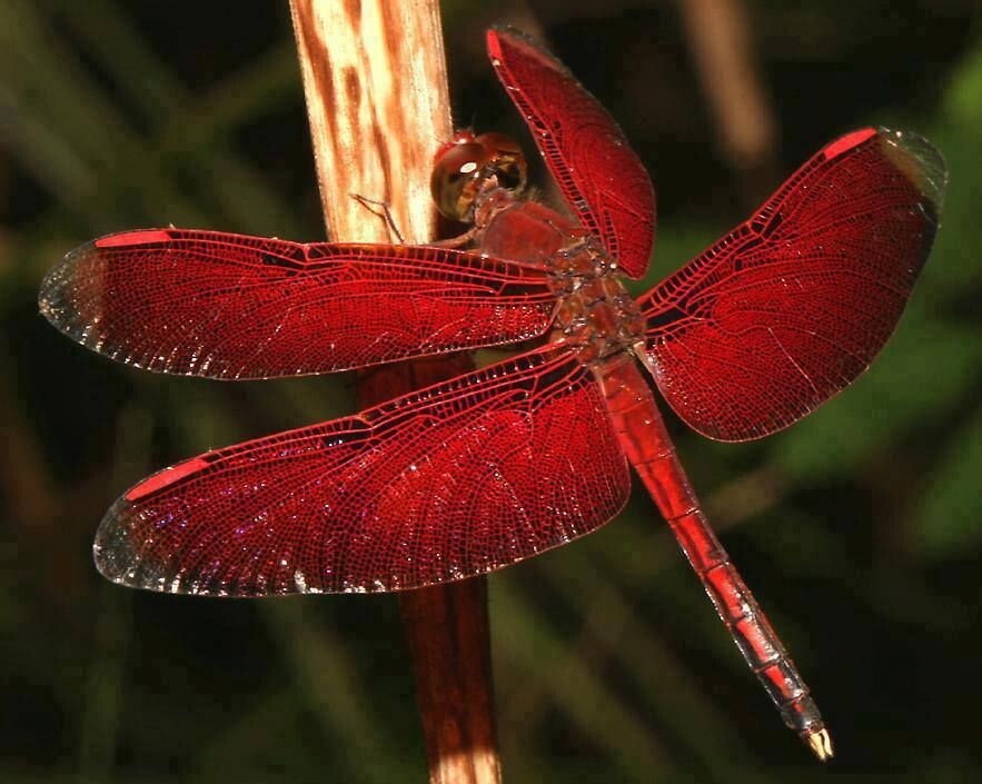 
        20&nbsp;природных шедевров, ставших результатом случайности    