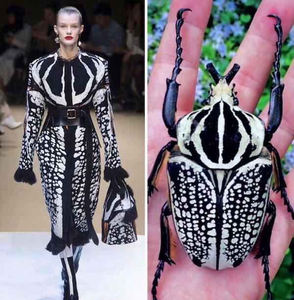 Подборка прикольных фото №3798