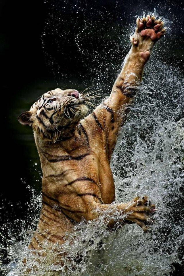 Подборка прикольных фото №3816