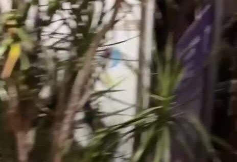 Повар в ожидании отзыва
Повар в ожидании отзыва