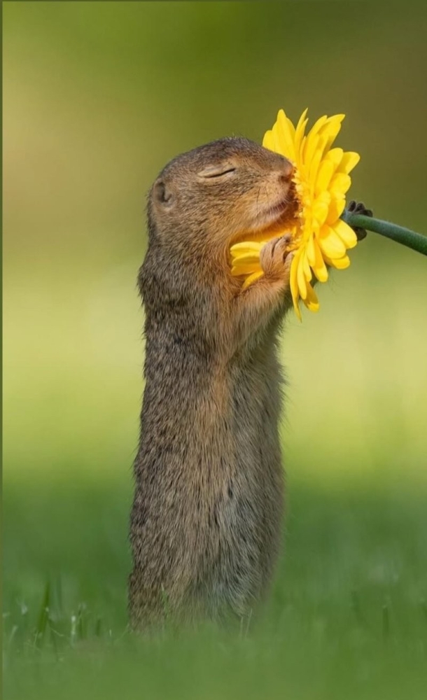 
        20&nbsp;поводов улыбнуться и&nbsp;восхититься, подаренных природой    