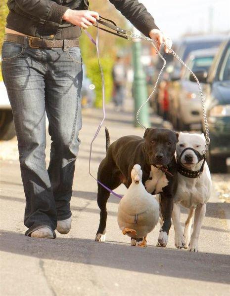 Подборка прикольных фото №3803