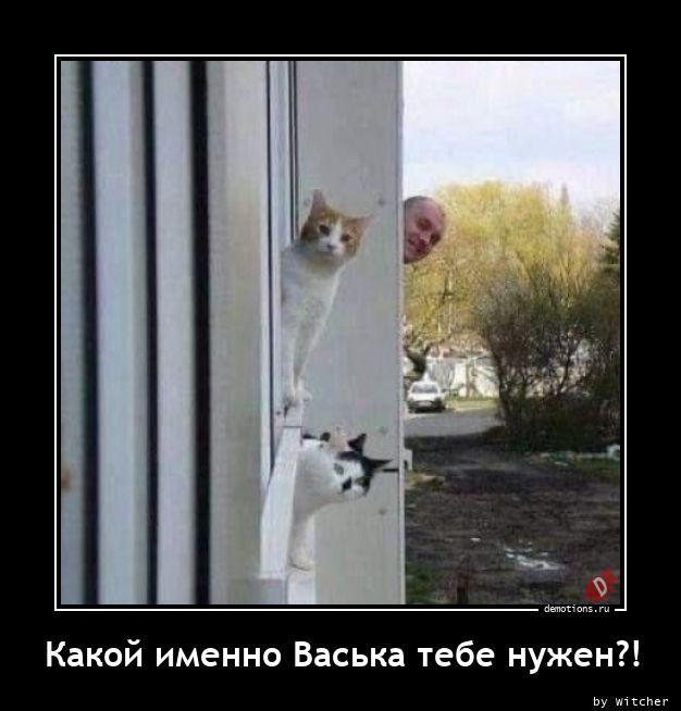 
			Демотиваторы №3742 (15 фото)