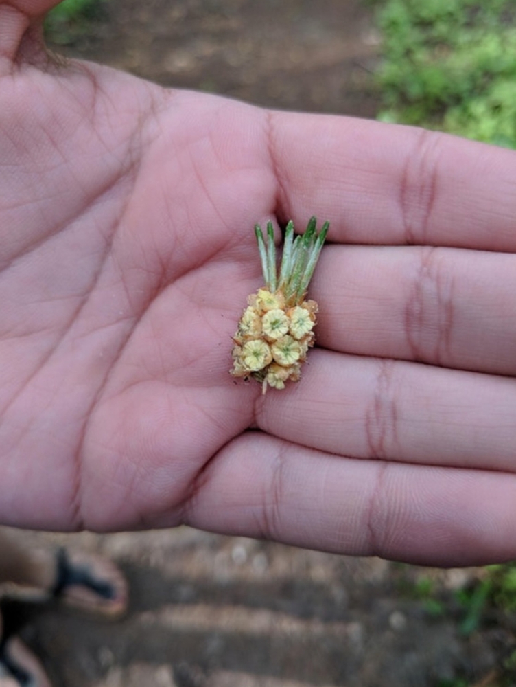 
        28&nbsp;не&nbsp;повторяющихся моментов: мир&nbsp;бывает восхитительным и&nbsp;без&nbsp;фотошопа    