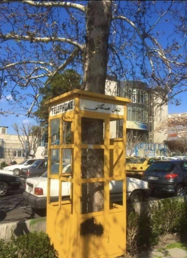 Подборка прикольных фото №3799