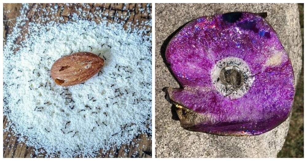 
        20&nbsp;простых и&nbsp;завораживающих чудес, которые можно встретить где&nbsp;угодно    