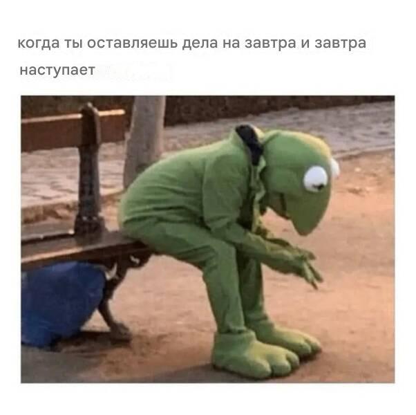 Прикольные мемы для профессиональных прокрастинаторов Прикольные мемы для профессиональных прокрастинаторов