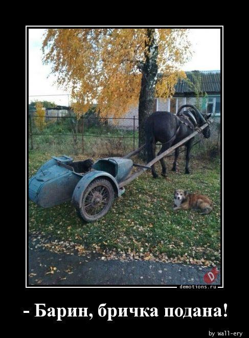 
			Демотиваторы №3745 (15 фото)