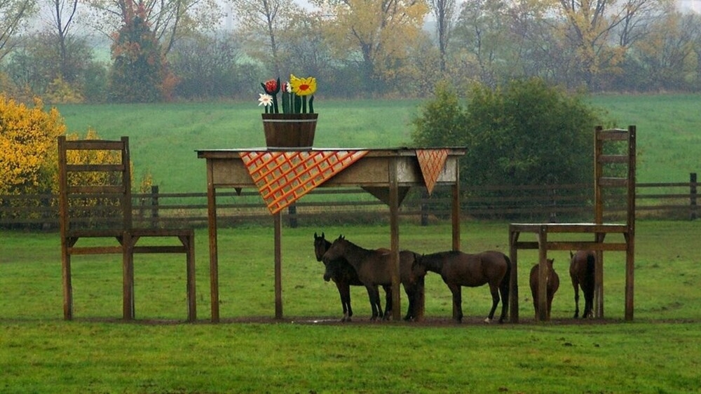 
        20&nbsp;мест и&nbsp;моментов, в&nbsp;которых реальность прекраснее вымысла    