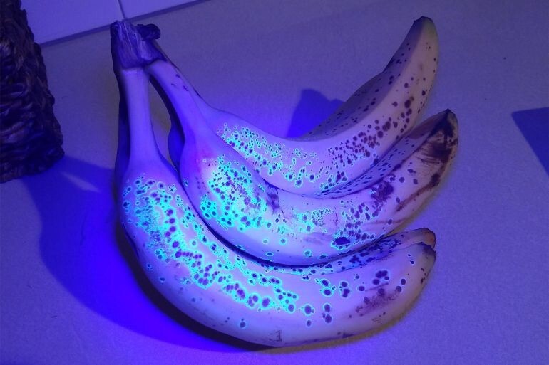 
        20&nbsp;простых и&nbsp;завораживающих чудес, которые можно встретить где&nbsp;угодно    