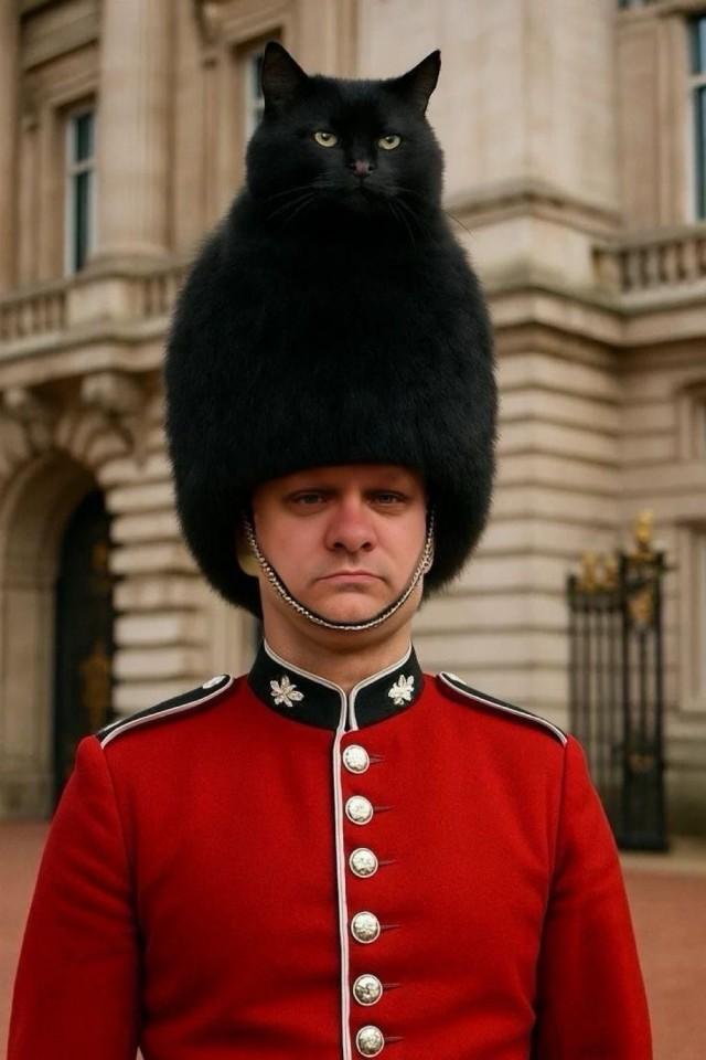 Подборка прикольных фото №3801