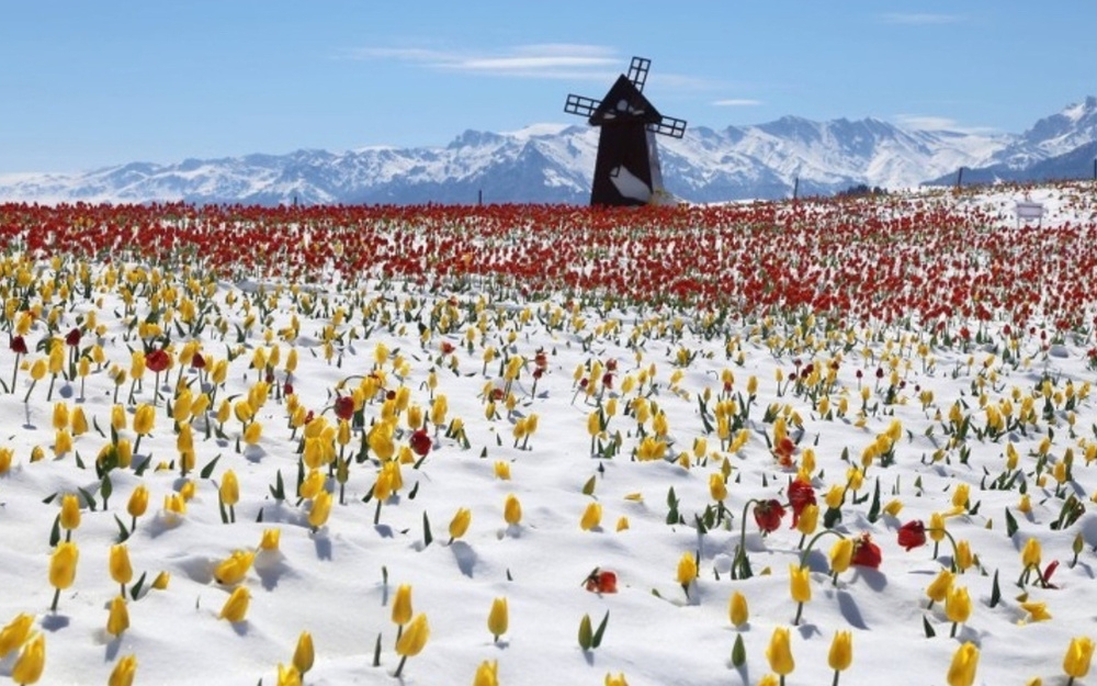 
        28&nbsp;не&nbsp;повторяющихся моментов: мир&nbsp;бывает восхитительным и&nbsp;без&nbsp;фотошопа    