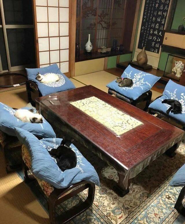 Подборка прикольных фото №3816